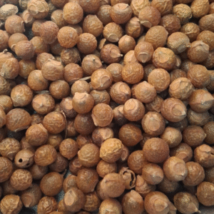 Soap Nut